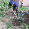 2020 - World Environment Day